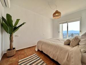 a bedroom with a bed and a potted plant at Nono in Altea +26 photos