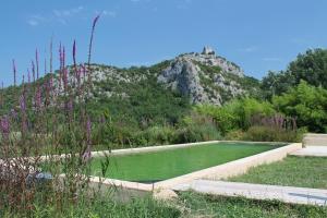 a pond in a garden with a mountain in the background at Gîte de la font d'Arlane in Viviers