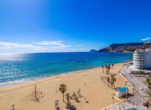 カルプにあるInftour Peñon de Ifach Apartamentoのヤシの木と海の砂浜