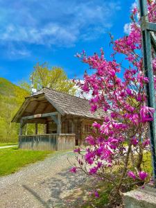 a building with purple flowers in front of it at Camping Danica Cottage Stan in Bohinj