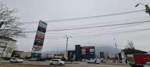 ピアトラ・ネアムツにあるFeel Like Home 2の街路を走る車集団