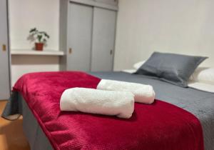 two towels on a bed with a red blanket at Enjoy Budget in Santiago
