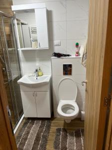 Apartman MM Zlatibor في زلاتيبور: حمام ابيض مع مرحاض ومغسلة
