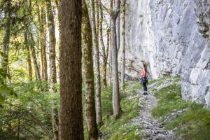 Hosté ubytování Ferienwohnung Greber Gertraud
