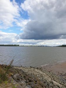 a group of birds sitting on the shore of a body of water at likehome Suite in Buchholz in der Nordheide