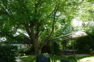 a picnic table under a tree in a yard at Ferienhaus 2 in Fritzlar