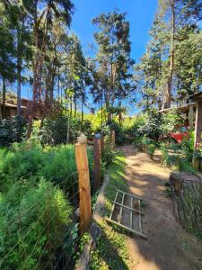 Ein Garten an der Unterkunft Residencial El Cielo Cabaña Popeye y Cabaña Pipil