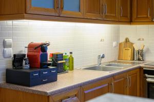 A kitchen or kitchenette at Marine Luxury Apartment Kalamata