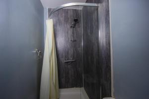 a shower in a bathroom with a shower curtain at Super Central 4bedroom Apartment at the Meadows in Edinburgh