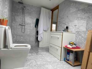 a bathroom with a white toilet and a shower at Large ensuite room in Dulwich (Gipsy Hill) in West Dulwich