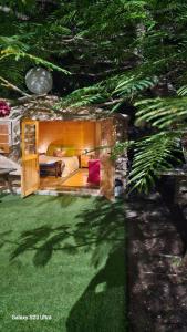 een woonkamer met een bank en een boom bij CASA DE LA PRADERA in Arucas