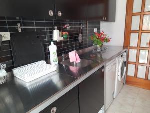 eine Küchentheke mit Spüle und Geschirrspüler in der Unterkunft CASA DE LA PRADERA in Arucas