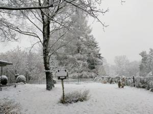 een met sneeuw bedekt park met een boom en een brievenbus bij Ländliches Gartenhaus mit Kamin und Naturpanorama in Niedergörsdorf