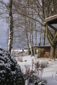 een sneeuwbedekte tuin met een huis en bomen bij Ländliches Gartenhaus mit Kamin und Naturpanorama in Niedergörsdorf