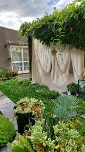 un jardín con un montón de plantas y cortinas en Recanto dos pássaros en Garibaldi