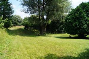 een veld met een boom en wat gras en bomen bij Idylisches Cottage mit Reh in Wörthsee