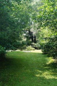 ein üppiges grünes Feld mit Bäumen und Gras in der Unterkunft Idylisches Cottage mit Reh in Wörthsee