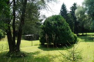 ein Feld mit Bäumen und ein Haus in der Ferne in der Unterkunft Idylisches Cottage mit Reh in Wörthsee