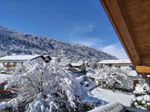 einen schneebedeckten Baum mit einem Berg im Hintergrund in der Unterkunft Apartment Lanner by Interhome in Innsbruck