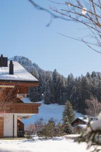 ザーネンメサーにあるApartment Fichte - Marija by Interhomeの雪の中の木々の丸太小屋
