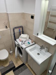 een badkamer met een wastafel en een toilet bij Luxury Young Residence in Iaşi