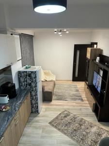 Habitación con cocina y sala de estar. en Luxury Young Residence, en Iaşi