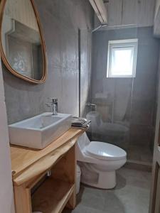 a bathroom with a sink and a toilet and a mirror at Casa La Escondida, Punta Sirena in Pelluhue