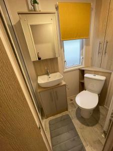 a small bathroom with a toilet and a sink at Cosy Holiday Home, Home Farm Holiday Park in Brent Knoll