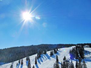 Apartment Haus Ganter by Interhome v zimě