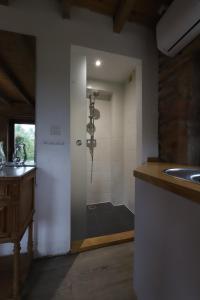 ein Bad mit einer Dusche, einem Waschbecken und einer Theke in der Unterkunft Petit Gîte chez Domaine Château de Bussolles in Barrais-Bussolles