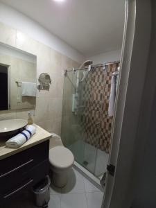 a bathroom with a shower and a toilet and a sink at Hotel Panama in Neiva