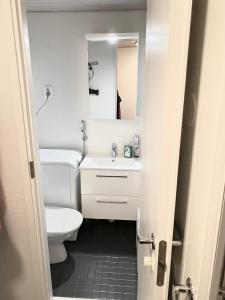 een badkamer met een toilet, een wastafel en een spiegel bij Tahkonloft in Kuopio