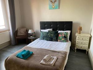 sypialnia z łóżkiem z dwoma ręcznikami w obiekcie i-love-colmar - Les Remparts - Parking w mieście Colmar