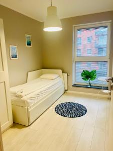1 dormitorio con cama, ventana y alfombra en Apartament Aurora, Darmowy parking, Free parking, en Gdansk