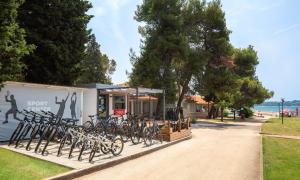 Fotografia z galérie ubytovania Aminess Sirena - Holiday homes Classic v Novigrad Istria