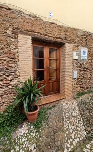 a door of a stone building with a potted plant at Casa Maricolilla in Cortelazor