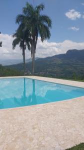 una piscina con una palma sullo sfondo di Finca Villa Maria a La Pintada