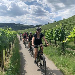 un grupo de personas montando bicicletas a través de un viñedo en Weinberg Holiday Idyllische Ruhe, nahe den Weinbergen, en Traben-Trarbach