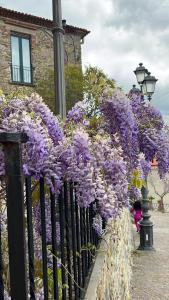 una cerca cubierta de flores púrpuras en una calle en Suites Luisa Sanfelice, en Agropoli