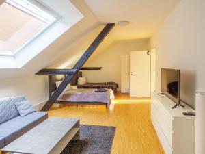 TV a/nebo společenská místnost v ubytování Urban Living unter den Dächern der Göttinger Altstadt