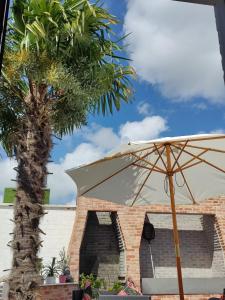 un palmier et un parasol devant un bâtiment dans l'établissement Chambre D'eau, à Ichtegem