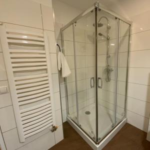 y baño con ducha con cabina de ducha de cristal. en Gemütliches Loft Nähe Hauptbahnhof DG4, en Viena
