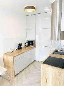 Dapur atau dapur kecil di Centrum apartment - Parking,AC, balcony