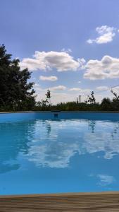 una gran piscina de agua azul con árboles en el fondo en Les orchidées, en Mouillac