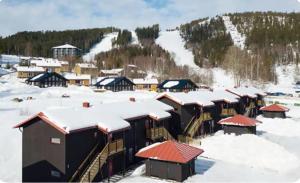 un groupe de bâtiments recouverts de neige dans l'établissement Lisa Lodge i Järvsö Ski and bike in and out, à Järvsö