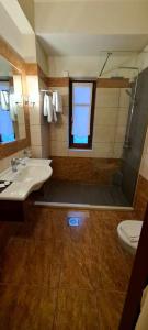 a bathroom with a sink and a shower and a toilet at Konitsa Mountain Hotel in Konitsa