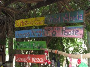 Gallery image of La Casa Del Profe Salo in Santa María Tonameca