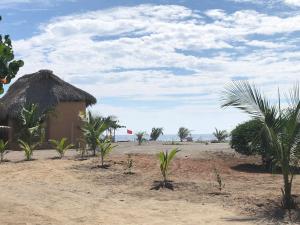 una cabaña en medio de una playa con palmeras en Hab #5 La Casa Del Profe Salo, en Santa María Tonameca