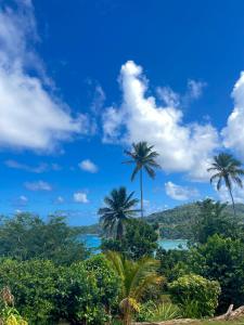 MarigotHappy Nest Dominica的享有海洋和棕榈树的景致