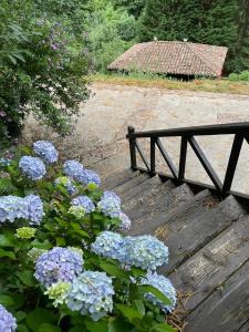 uma ponte de madeira com flores azuis e um banco em Casa rural en Redes para 4 em Ríoseco